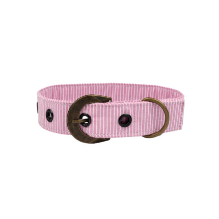 Buckle Dog Collar