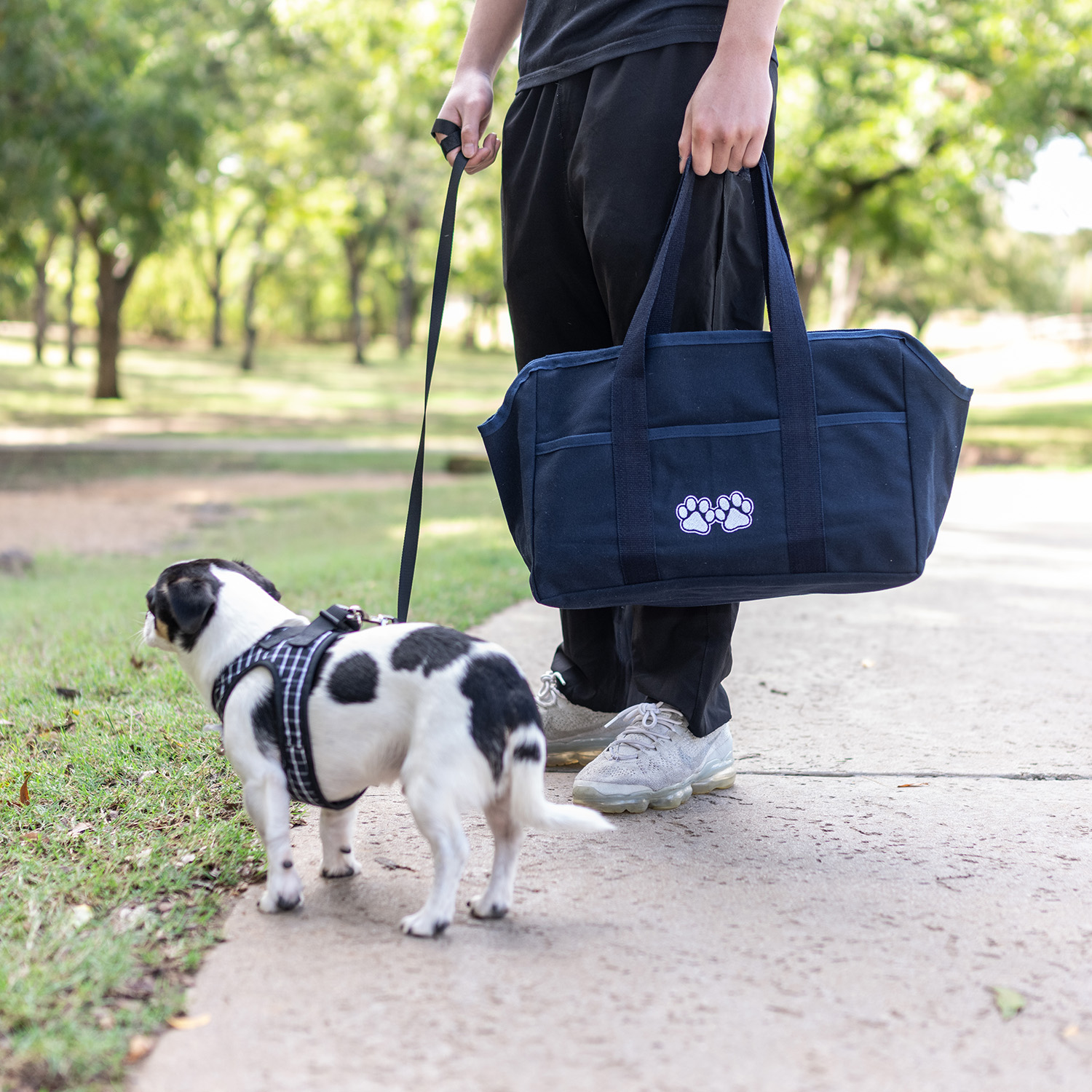 Puppy and Kitten Tote Puppy and Kitten Tote